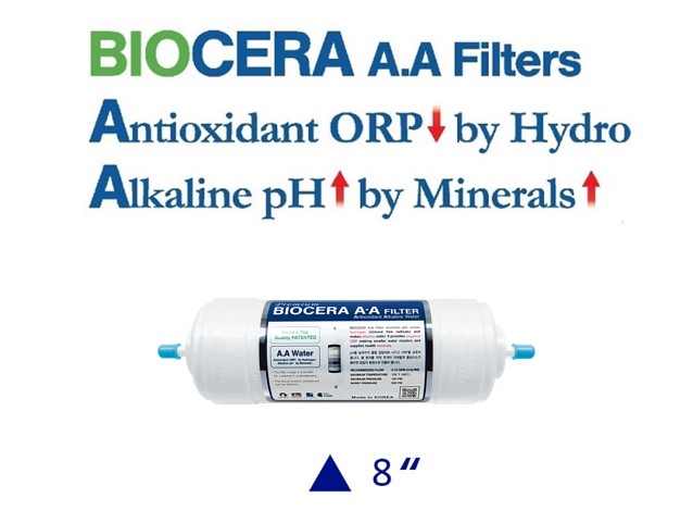 Üreticinin Biocera A.A. inline filtre görseli